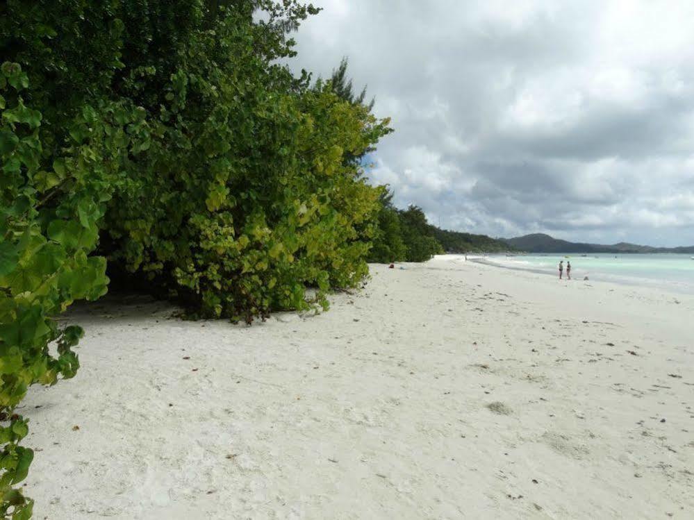 Cote D'Or Chalets Anse Volbert Village Buitenkant foto